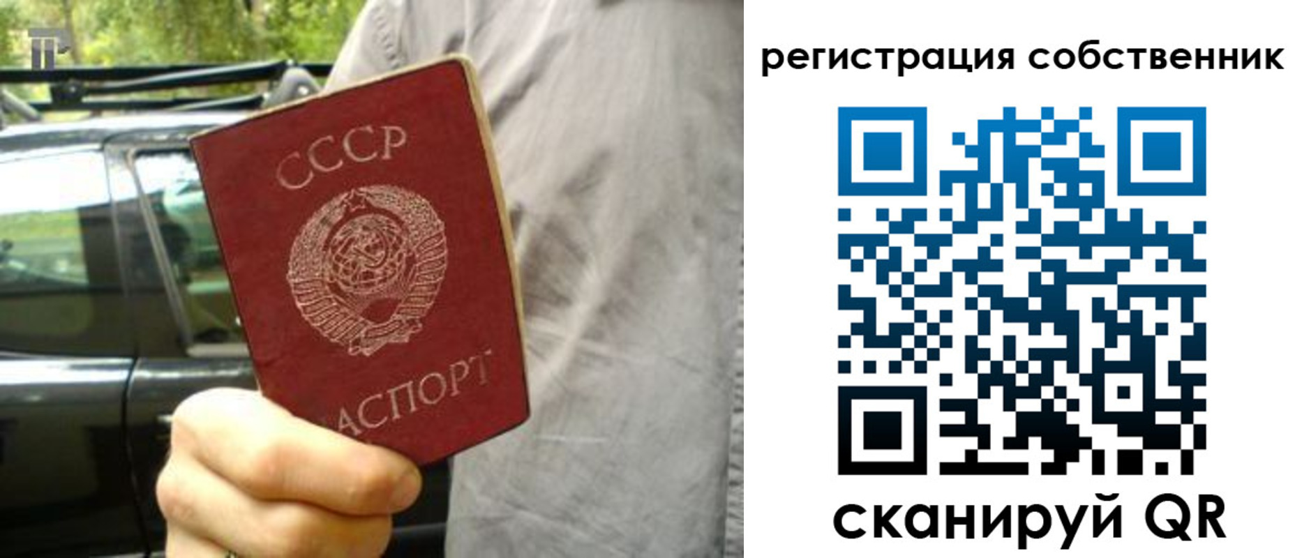 прописка 2025 в Гусеве